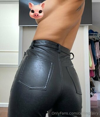 ceilingfairy Nude Leaks Photo 4