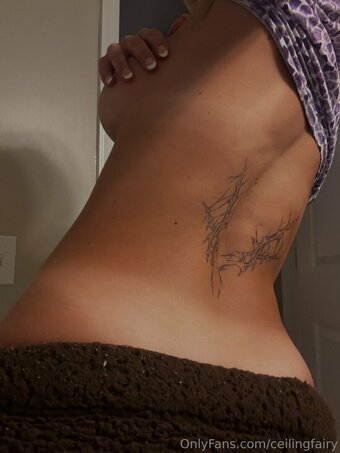 ceilingfairy Nude Leaks Photo 5
