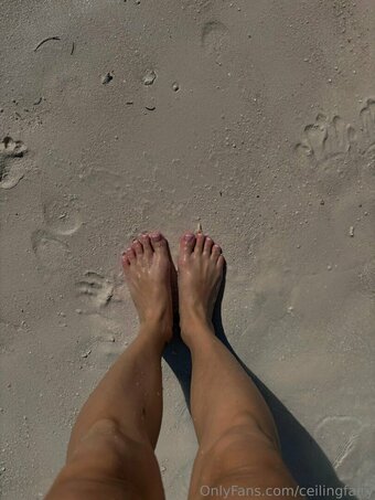 ceilingfairy Nude Leaks Photo 6