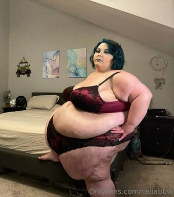 celiabbw Nude Leaks Photo 15