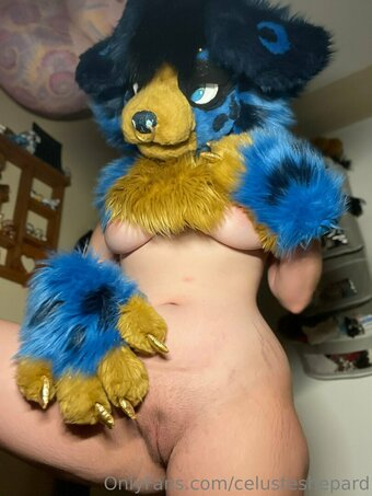 celusteshepard Nude Leaks Photo 7