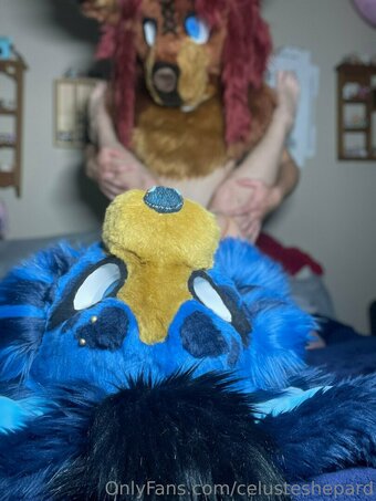 celusteshepard Nude Leaks Photo 14