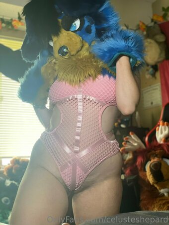 celusteshepard Nude Leaks Photo 17