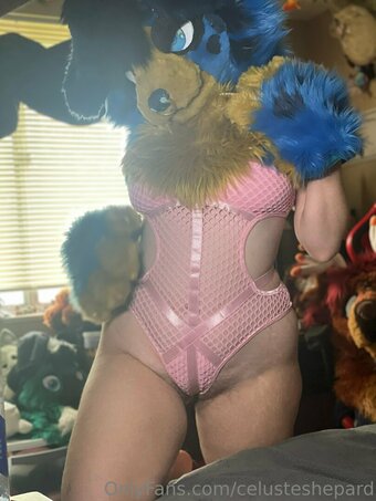 celusteshepard Nude Leaks Photo 18