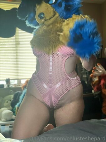 celusteshepard Nude Leaks Photo 19