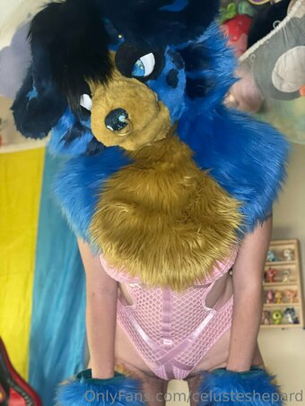 celusteshepard Nude Leaks Photo 22