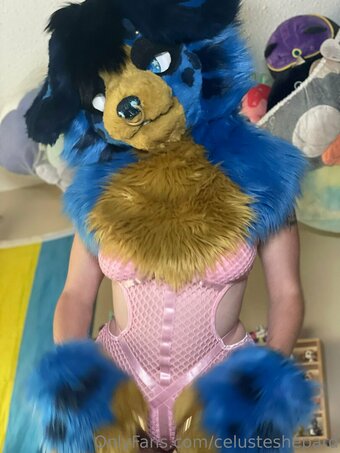 celusteshepard Nude Leaks Photo 23