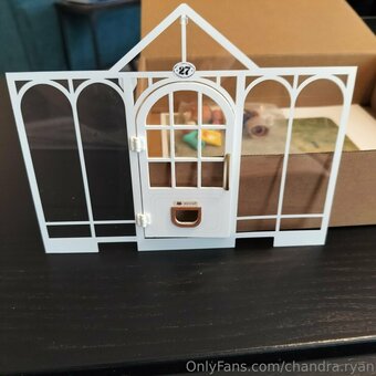 chandra.ryan Nude Leaks Photo 4