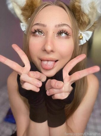 CharaPin Nude Leaks Photo 14