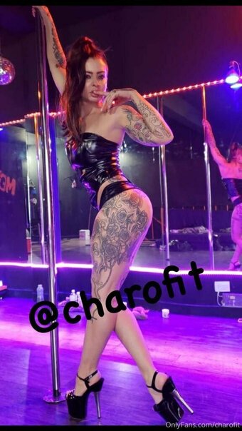 Charofit / _charofit_ Nude Leaks OnlyFans Photo 8