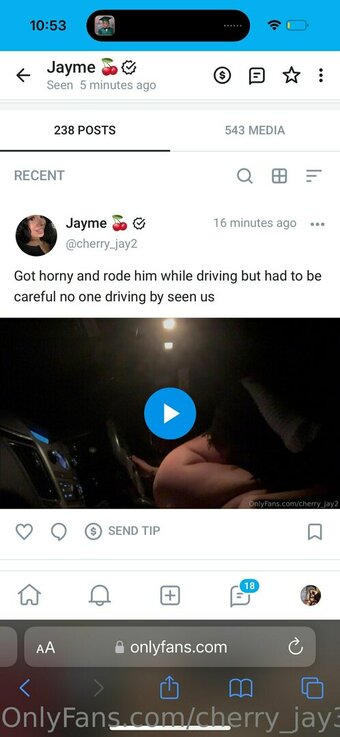 cherry_jay3 Nude Leaks Photo 6