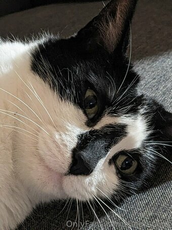 chibihoops Nude Leaks Photo 6