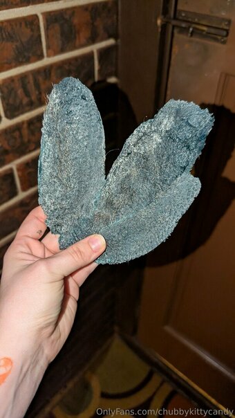 chubbykittycandy Nude Leaks Photo 18