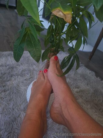 classydesire Nude Leaks Photo 11