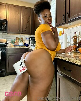 coco_anise Nude Leaks Photo 10