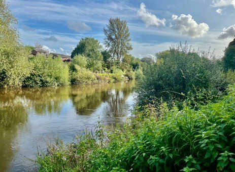 coco-lls / chloz.ee Nude Leaks OnlyFans Photo 6