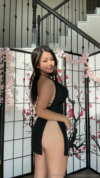 cococofree Nude Leaks Photo 8