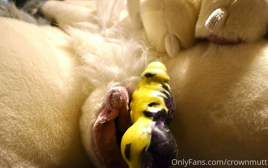 crownmutt Nude Leaks Photo 6