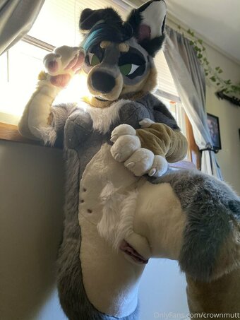 crownmutt Nude Leaks Photo 12