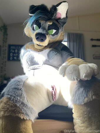 crownmutt Nude Leaks Photo 22