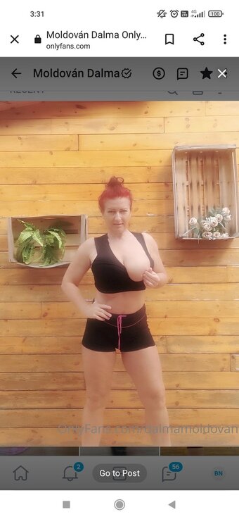 Dalmamoldovan / modestilus2018 Nude Leaks OnlyFans Photo 12