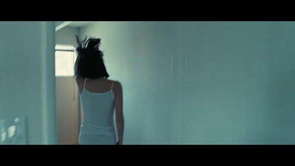 Danielle Haim / daniellehaim Nude Leaks Photo 21