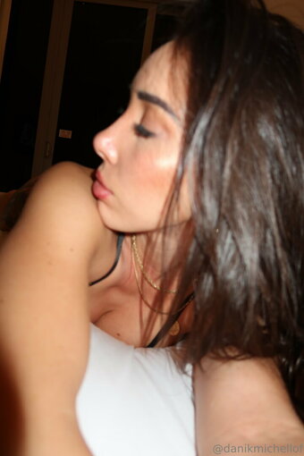 danikmichellof Nude Leaks Photo 29