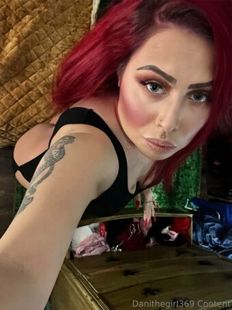 danithegirl369 Nude Leaks Photo 10