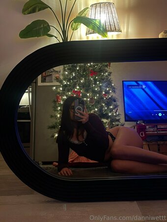 danniwettt Nude Leaks Photo 14