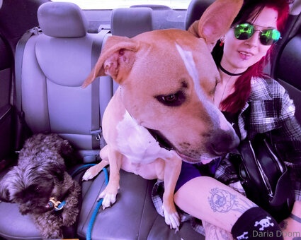 dariadoom Nude Leaks Photo 1