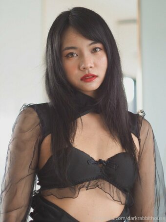 Darkrabbithouse / Darkrabbithous1 / Hunnybunny / hunnybunnyth Nude Leaks OnlyFans Photo 26