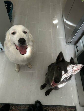 dearest.daisy Nude Leaks Photo 1