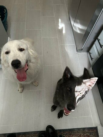 dearest.daisy Nude Leaks Photo 2