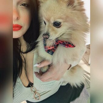 Debsy / debsy.de90 / dempseygreenbriar Nude Leaks OnlyFans Photo 3