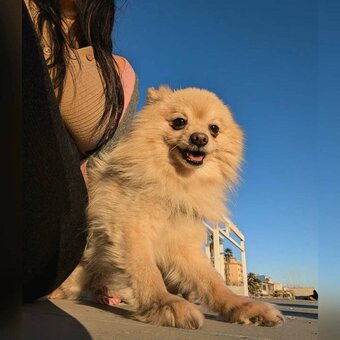 Debsy / debsy.de90 / dempseygreenbriar Nude Leaks OnlyFans Photo 4