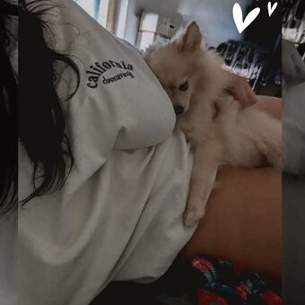 Debsy / debsy.de90 / dempseygreenbriar Nude Leaks OnlyFans Photo 13