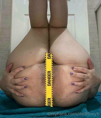 delfifoxyb Nude Leaks Photo 21