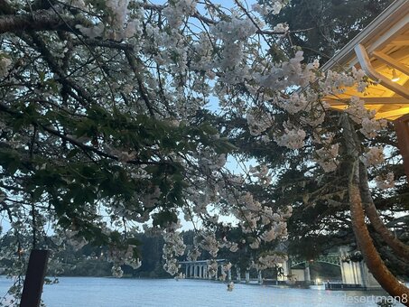 desertman8 Nude Leaks Photo 10