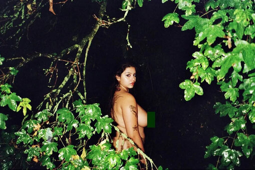 desiresdiary / desiresdiaryistyping Nude Leaks Photo 3