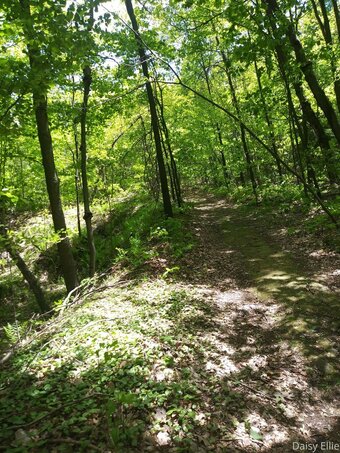 devilishdaisy Nude Leaks Photo 9