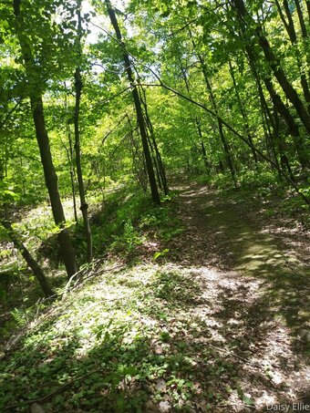 devilishdaisy Nude Leaks Photo 10