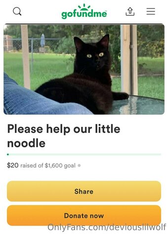 deviouslilwolf Nude Leaks Photo 1