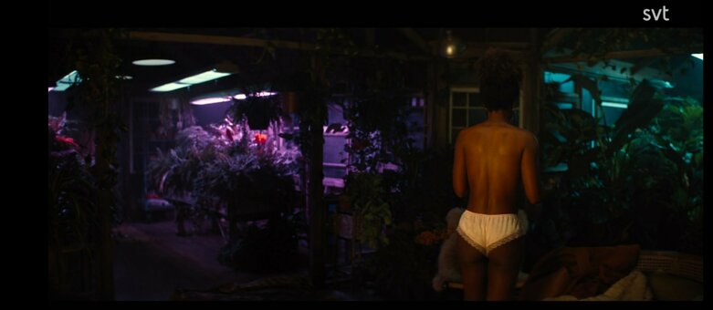 DeWanda Wise / dewandawise Nude Leaks Photo 19