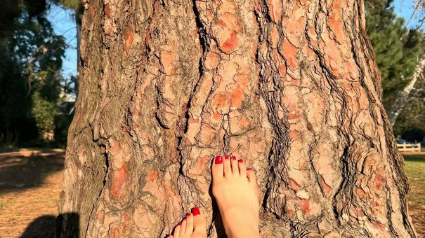 Dezertflake / Sher Arar / hf33t / u62986165 Nude Leaks OnlyFans Photo 1