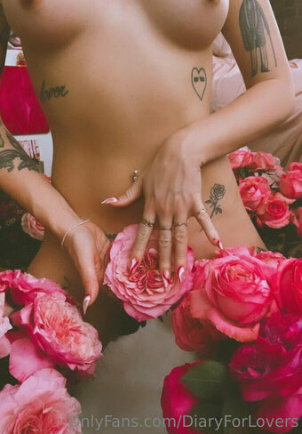 diaryforlovers Nude Leaks Photo 2