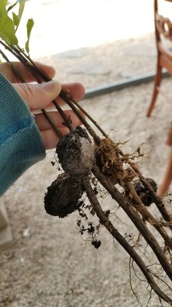 driftinggem Nude Leaks Photo 1