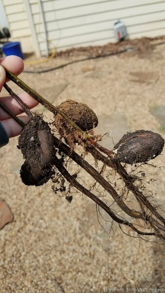 driftinggem Nude Leaks Photo 2