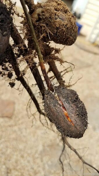 driftinggem Nude Leaks Photo 3