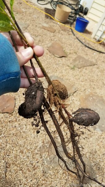 driftinggem Nude Leaks Photo 4