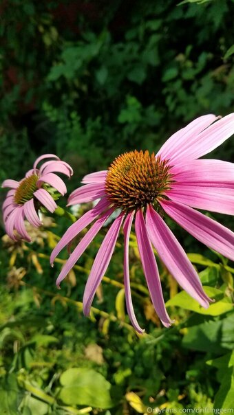 driftinggem Nude Leaks Photo 8